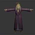 Wizard Character With Purple Robe Long White Beard Green Hat And Outstretched Arms