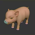 Cute Pink Piglet Standing on Dark Background with Reflection 3d model
