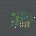 Aquatic Plants with Lotus Flowers and Green Lily Pads Floating on Water Surface