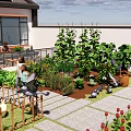 Detached House with Solar Panels on Roof and Courtyard Garden with Green Plants