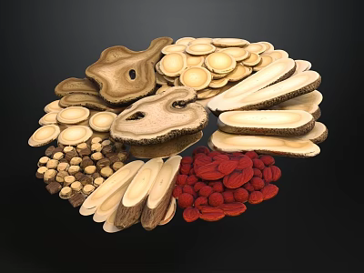 Traditional Chinese Herbal Medicine Collection With Wolfberry Codonopsis Astragalus Slices And Fruits 3d model