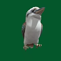 Colorful Bird with White Head Brown Body Blue Green Spotted Wings Standing on Green Background
