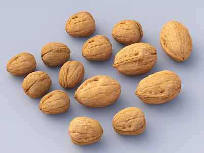 Fresh Whole Walnuts Natural Shelled Healthy Nutritious Crunchy Premium Raw Snacks for Daily Use 3d model