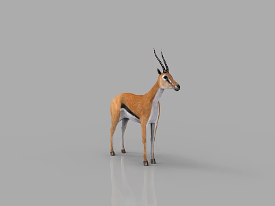 Graceful Gazelle Standing On Gray Background With Smooth Fur And Horns 3d model