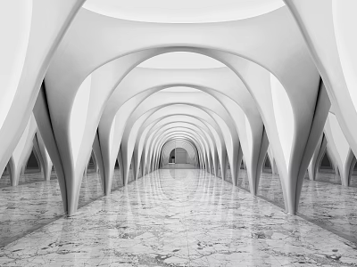 Spacious Modern Elevator Hallway Featuring Arched Ceilings And Polished Marble Floor Design 3d model