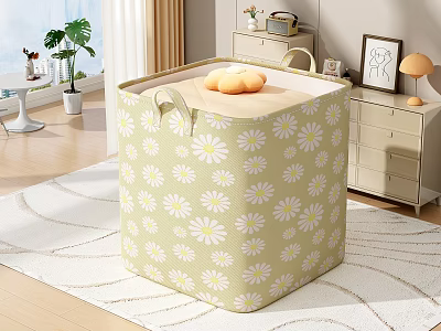 Entryway Cabinet And Side Cabinet With Green Daisy Pattern Storage Box Rug Plant And Decorative Lamp 3d model