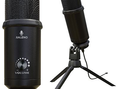 Modern Microphone Mike model