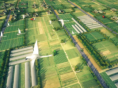 Aerial Planning View of Organized Farmland Greenhouses Roads and Green Space Layout 3d model
