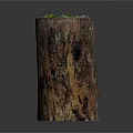 Wood And Stone Decorative Tree Stump With Green Moss Small Plants And Natural Elements