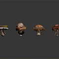 Colorful Various Fresh Mushroom Vegetables With Different Types And Bright Colors