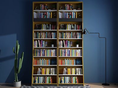 Tall Wooden Bookcase With Multiple Shelves Colorful Books Floor Lamp And Cactus Plant 3d model