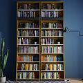 Tall Wooden Bookcase With Multiple Shelves Colorful Books Floor Lamp And Cactus Plant