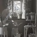 Indoor Potted Plants on Windowsill with Various Flower Pots and Green Wall