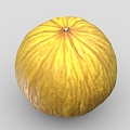 melon fruit pumpkin cantaloupe 3d model