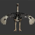 Realistic Ostrich With Long Neck Black Feathers White Wings And Tail In Standing Posture