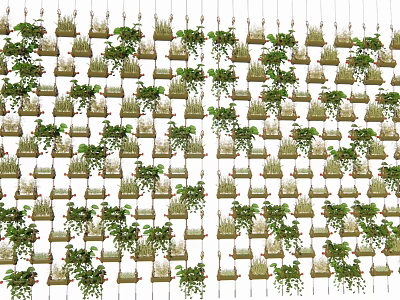 Green Wall Indoor Vertical Garden Design With Various Plants Foliage 3d model