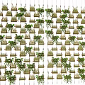 Green Wall Indoor Vertical Garden Design With Various Plants Foliage