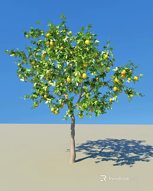 Lush Healthy Tree With Abundant Yellow Fruits And Green Leaves Against Blue Sky 3d model 