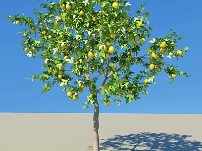 Lush Healthy Tree With Abundant Yellow Fruits And Green Leaves Against Blue Sky 3d model