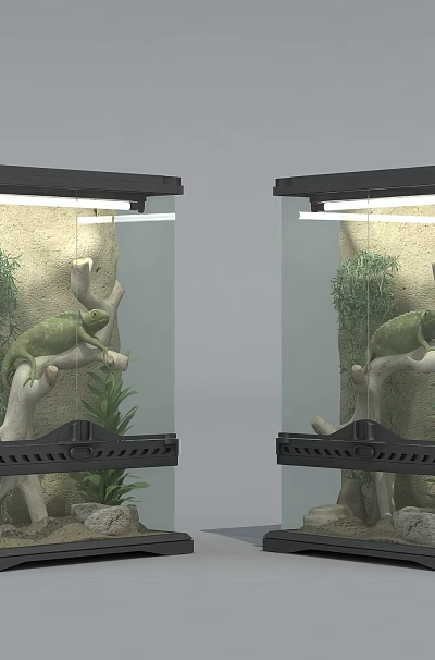 Natural Reptile Habitat Setup in Two Glass Terrariums with Branches Plants and Sand Substrate 3d model