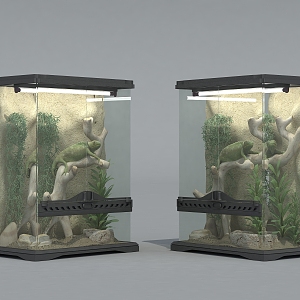 Lizard amphibious tank pet lizard 3d model