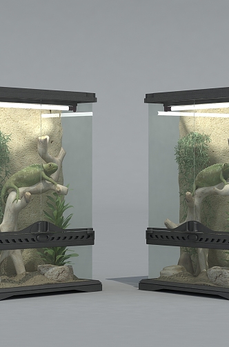 Lizard amphibious tank pet lizard 3d model