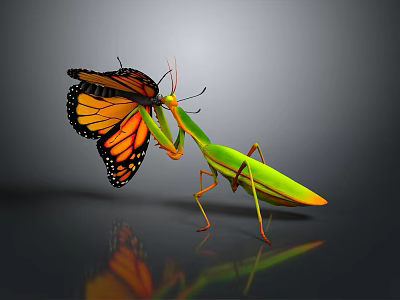 Green Mantis Preying On Orange Black Butterfly With Reflection On Dark Surface 3d model