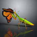 Green Mantis Preying On Orange Black Butterfly With Reflection On Dark Surface 3d model