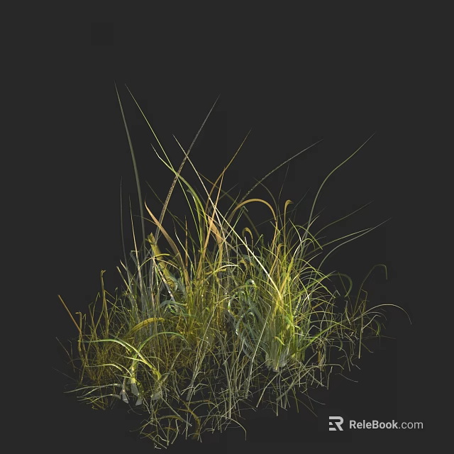 Lush Decorative Grasses With Green And Yellow Leaves On Black Background 3d model 