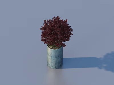 Bonsai Potted Plant with Vibrant Red Leaves in Blue Cylindrical Pot Against Light Blue Background 3d model