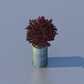 Bonsai Potted Plant with Vibrant Red Leaves in Blue Cylindrical Pot Against Light Blue Background