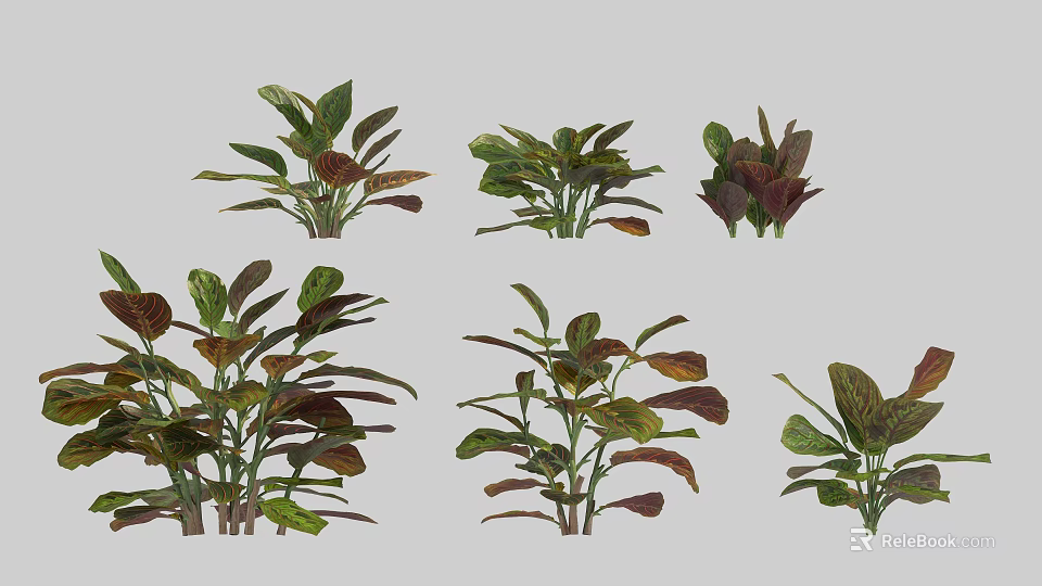 Various Garden Shrubs Featuring Multicolored Leaves And Diverse Shapes For Landscaping 3d model 