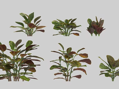 Various Garden Shrubs Featuring Multicolored Leaves And Diverse Shapes For Landscaping 3d model