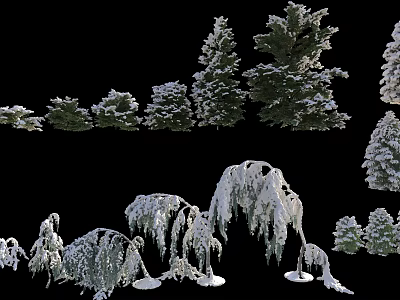 Snow Covered Trees in Various Sizes and Different Natural Forms for Landscape Design 3d model