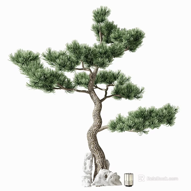 Lush Pine Arbor With Curved Trunk And Natural Green Foliage 3d model 