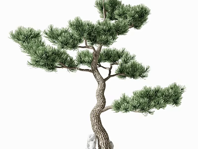 Lush Pine Arbor With Curved Trunk And Natural Green Foliage 3d model