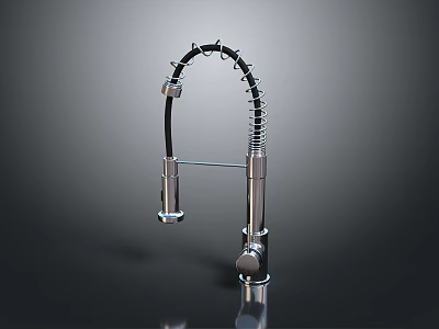Modern Kitchen Faucet With Coiled Flexible Hose And Chrome Finish Design 3d model