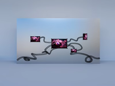 Art Installation With Gray Panel Black Curving Lines And Pink Floral Square Sections 3d model