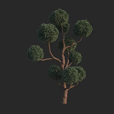 Ornamental Arbor With Brown Trunk Multiple Round Canopies And Green Foliage 3d model