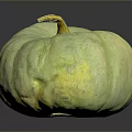 Organic Fresh Green Pumpkin With Smooth Surface On Dark Reflective Background