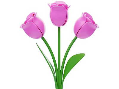 Three Pink Tulips With Green Stems And Leaves On White Background 3d model