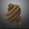 Brown Spiral Seashell With Layered Texture And Shiny Surface On Dark Background