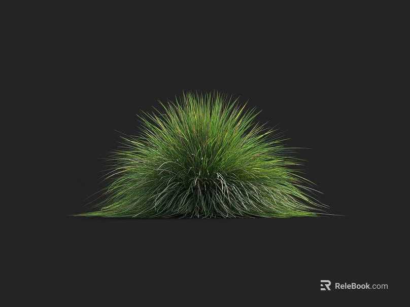 Vibrant Lush Green Grass With Rounded Bushy Shape Against Dark Background 3d model 
