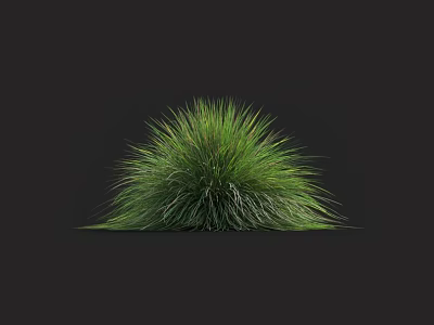 Vibrant Lush Green Grass With Rounded Bushy Shape Against Dark Background 3d model