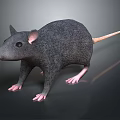 Realistic 3D Gray Rat Model With Pink Paws And Tail On Dark Background 3d model