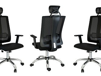 Office Chair Backrest Chair Computer Chair Mobile Chair Boss Chair 3d model