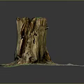Natural Weathered Tree Stump Outdoor Scene With Gravel Base And Small Green Plants