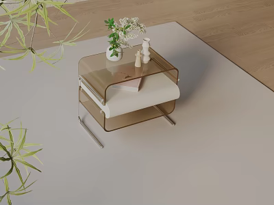 Modern Acrylic Side Table With Metal Frame And Green Plant On Carpet 3d model