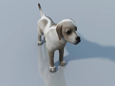 Reptile Lizard Standing On Gray Reflective Surface With Shadow 3d model