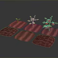 Red Square Planting Mats with Tomato Plants in Different Growth Stages